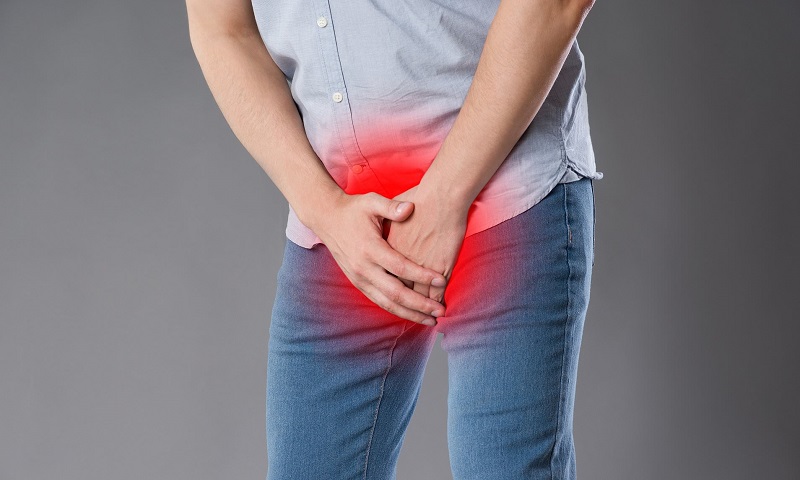 Cấu tạo tinh hoàn nam giới và những bệnh lý có thể gặp phải